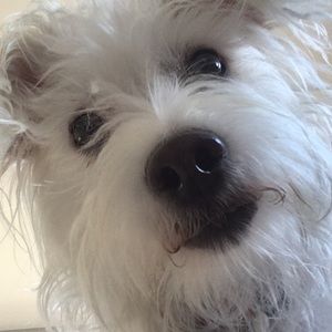 Meet your Posher, Katelin